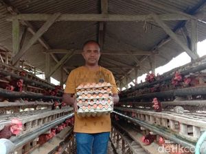 Jokowi Janji Harga Telur Turun Pekan Depan, Peternak Blitar Sambat