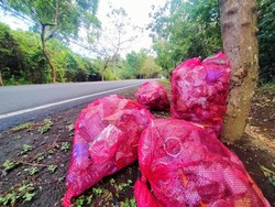 Sampah Dibuang di Jalan Nasional Hutan Bali Barat Mengkhawatirkan