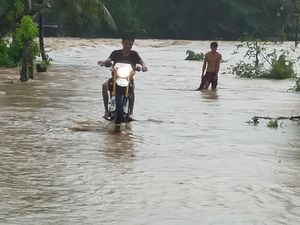Banjir Rendam Satu Desa di Sidrap, 18 Hektare Sawah Gagal Panen Banjir Rendam Satu Desa di Sidrap, 18 Hektare Sawah Gagal Panen