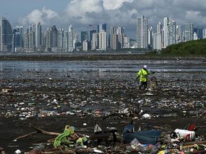 RI Butuh Rp 4.520 T Tangani Perubahan Iklim, Duitnya dari Mana?