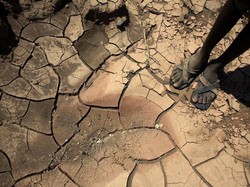 Prediksi Mencemaskan Kenaikan Suhu Udara Tahun Depan