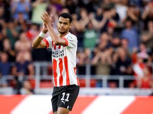 PSV Tolak Lepas Cody Gakpo