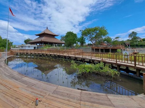 Kawasan Mangrove di Bali Ditata Jelang KTT G20, Begini Potretnya