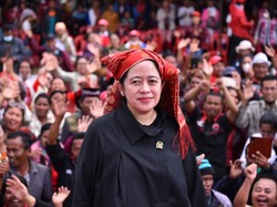 4 Hal tentang Dewan Kolonel, Loyalis Puan dari Senayan