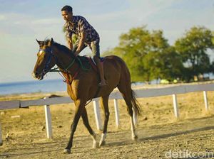 Nggak Cuma Orang, Kuda Juga Harus Dikompres Sehabis Latihan Berat