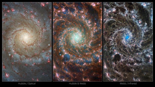 A combination image shows M74, otherwise known as the Phantom Galaxy, as viewed by the NASA/ESA Hubble Space Telescope (L), the NASA/ESA/CSA James Webb Space Telescope (R), and the combined image which merges the two views (C), in this handout image released August 29, 2022. NASA/ESA/CSA James Webb Space Telescope/Handout via REUTERS    THIS IMAGE HAS BEEN SUPPLIED BY A THIRD PARTY MANDATORY CREDIT