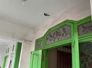 3 Rumah Rusak Dihantam Parade Sound System: Kaca Pecah-Plafon Berlubang