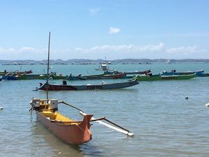 Laut Selatan NTB hingga Provinsi NTT Jalur Rawan Pencurian Komodo