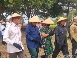 Wamentan Dorong Petani Majalengka Tingkatkan Kualitas Hasil Pertanian