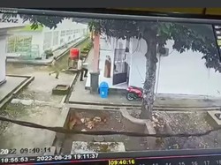 Barbar Guru Pria di Bone Tampar-Dorong Rekan Wanita Berujung Ditahan Polisi