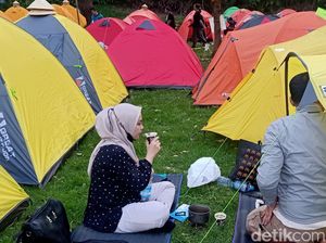 90 Persen Homestay di Dieng Full Booked Saat DCF 90 Persen Homestay di Dieng Full Booked Saat DCF