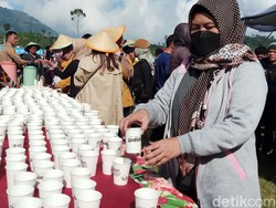 Apa Rasanya Minum Purwaceng Ramai-ramai Sampai Pecah Rekor MURI?