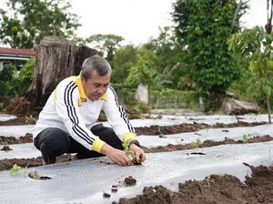 Tanam Cabai di Pekarangan, Gubri: Kamu Kapan?
