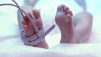 Viral Bayi 24 Hari Meninggal usai Diberi Telur Mentah, Dokter Anak Bilang Gini