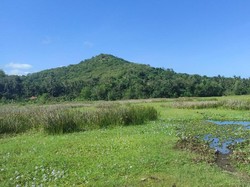 BWS Bali Penida Sebut Normalisasi Danau Yeh Malet Terkendala Anggaran