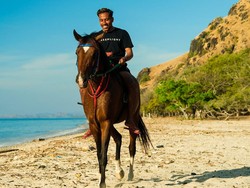 Kuda Pacu Ini Pernah Ditawar hingga Ratusan Juta, Apa Istimewanya?