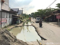 Viral Warga Binjai Tanam Pisang di Galian Jalan Mangkrak Setahun