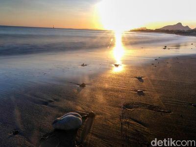 Mau Incar Sunrise Cantik di Wini, NTT? Di Sini Tempatnya
