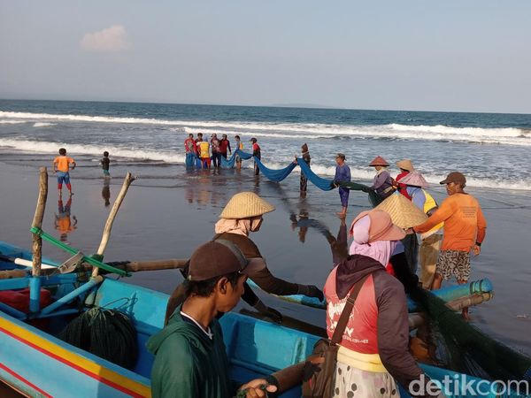 Jaring Arad, Menangkap Ikan Cara Nelayan Klasik di Batukaras
