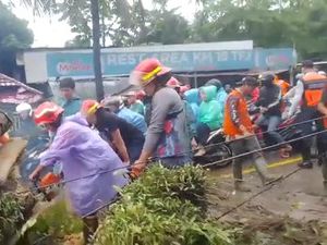 Ada Pohon Tumbang di Caringin, Jalur Sukabumi-Bogor Tak Bisa Dilewati