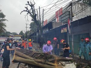 Sempat Tutup Gegara Pohon Tumbang, Jalur Sukabumi-Bogor Bisa Dilewati