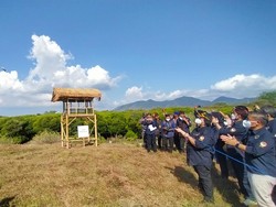 108 Ekor Curik Bali Dilepasliarkan di TNBB Gilimanuk