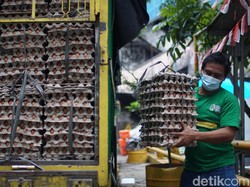 Menghadapi Krisis Pangan Global