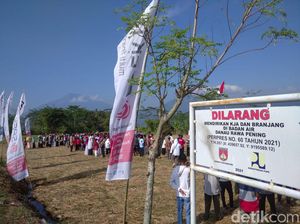 Forum Petani Keluhkan Pemasangan Tugu Batas Sempadan di Rawa Pening