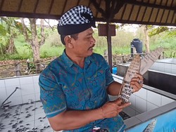 Lika-liku Konservasi Gangga Lestari Tabanan: Pernah Kecurian Tukik-Donasi