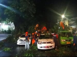Dahan Tumbang Timpa 3 Mobil di Bogor Akibat Hujan Deras-Angin Kencang