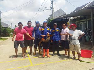 Waduh! Biawak Masuk Bumper Mobil di Bogor, Damkar Evakuasi Hampir Sejam Waduh! Biawak Masuk Bumper Mobil di Bogor, Damkar Evakuasi Hampir Sejam