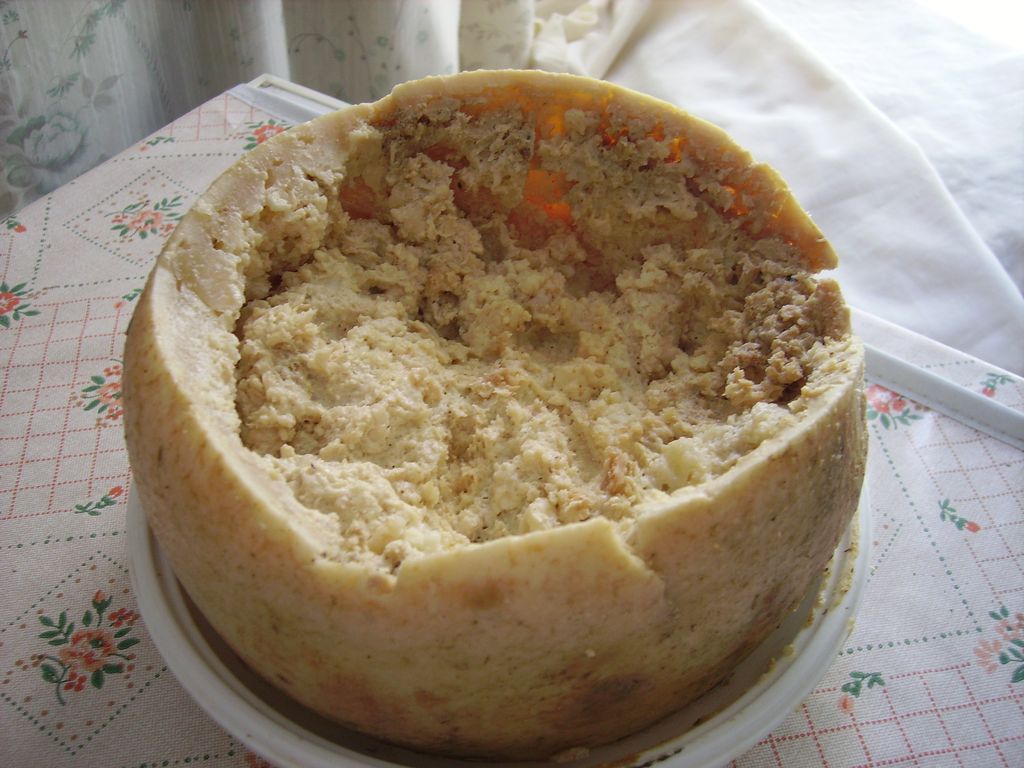 Keju Casu Marzu