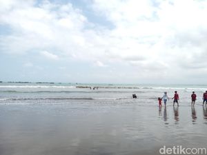 Pantai Pangandaran Sudah Aman untuk Berenang, Gelombang Normal