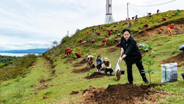 Kunker ke Sumut, Puan Tanam Bibit Pohon hingga Tebar Benih Ikan