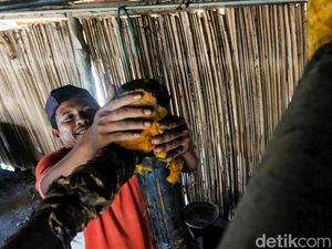 Begini Proses Pembuatan Sopi, Minuman Persahabatan Khas Warga NTT Begini Proses Pembuatan Sopi, Minuman Persahabatan Khas Warga NTT