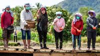 Momen Puan Tebar Benih Padi di Toba Sumut