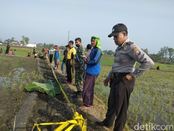 Nenek di Ngawi Tewas Tersetrum Jebakan Tikus Listrik yang Dipasangnya Sendiri