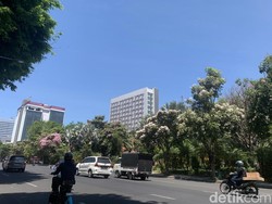 Tabebuya Blossom Jadi Daya Tarik Wisatawan ke Surabaya Selama September