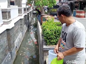 Keren! Warga Purwakarta Sulap Selokan Jadi Kolam Ikan Demi Keren! Warga Purwakarta Sulap Selokan Jadi Kolam Ikan Demi