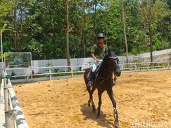 Asyiknya Berkuda Bak Koboi di Istana Stable Majalengka