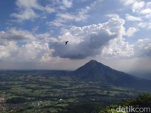 7 Aktivitas Seru di Gunung Telomoyo: Mendaki hingga Gantole 7 Aktivitas Seru di Gunung Telomoyo: Mendaki hingga Gantole