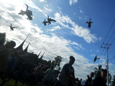 Ini Lho Olahraga Pacu Itik Khas Payakumbuh