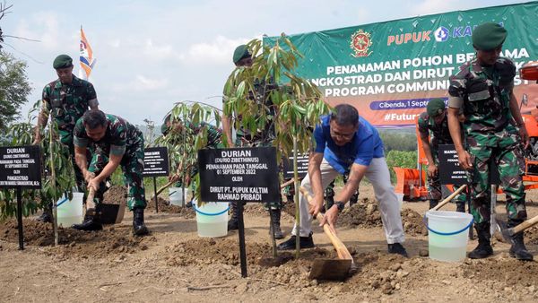 Kolaborasi Penanaman Pohon untuk Kurangi Emisi Karbon