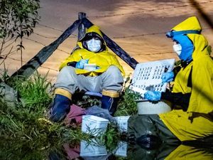 Memahami Ekologi: Pengertian, Komponen hingga Contohnya