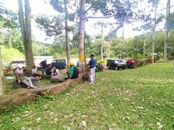 Berkemah di Hutan Manistutu Jembrana Bayarnya Pakai Bibit Pohon Buah