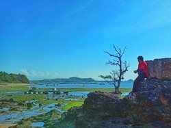 Nikmati Suasana Sepi Sembari Berburu Aneka Hasil Laut