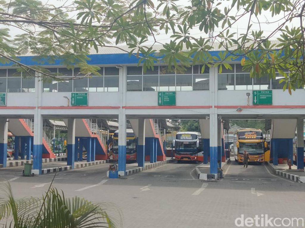 Tarif Bus Naik Hampir 2 Kali Lipat Berujung Sambat Sopir Sepi Penumpang Tarif Bus Naik Hampir 2 Kali Lipat Berujung Sambat Sopir Sepi Penumpang