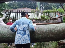 Pohon Tumbang di Kota Bogor, Timpa Motor hingga Rumah Eks Walkot