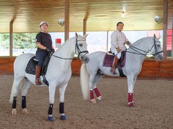 Anjangsana Politik Puan Maharani-Prabowo di Atas Kuda Putih