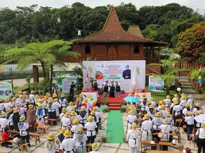 Relawan Sandiaga Gelar Pelatihan Bikin Produk Kecantikan dari Pepaya Relawan Sandiaga Gelar Pelatihan Bikin Produk Kecantikan dari Pepaya
